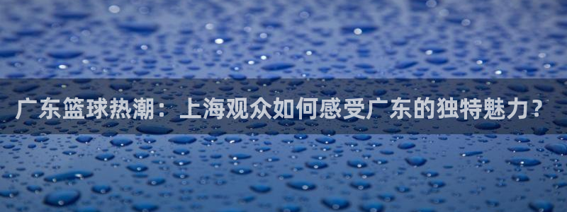 24直播网app下载：广东篮球热潮：上海观众如何感受广东的独特魅力？