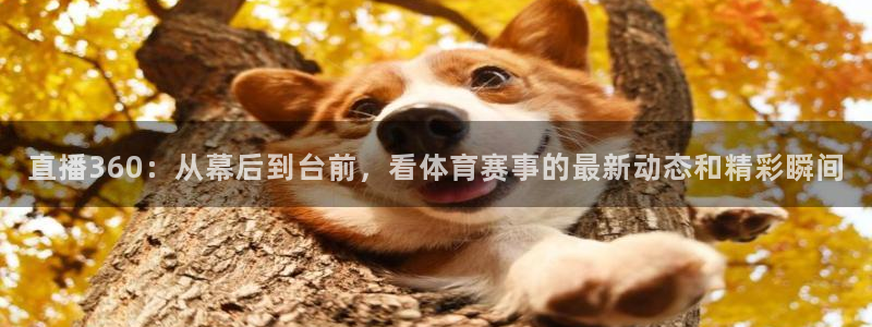 24直播免费足球直播