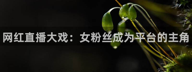 24直播体育在线看