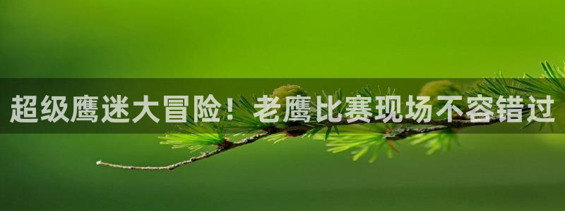 24直播网足球直播：超级鹰迷大冒险！老鹰比赛现场不容错过
