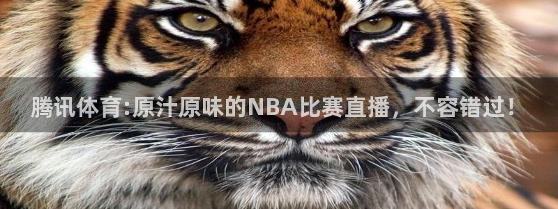 下载24直播网