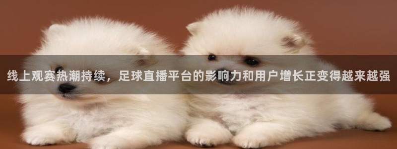 24直播体育免费观看入口