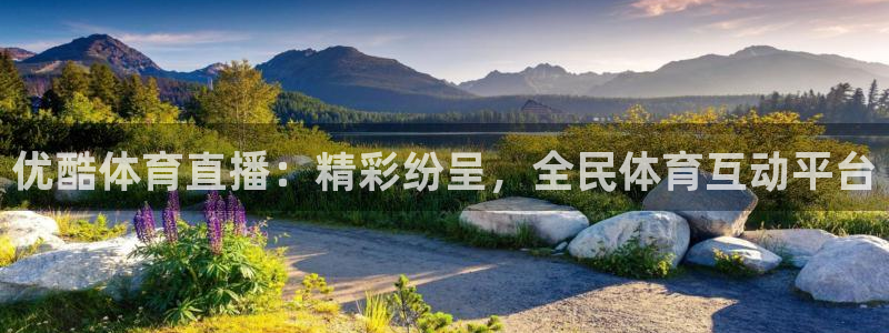 24直播网体育在线观看：优酷体育直播：精彩纷呈，全民体育互动平台
