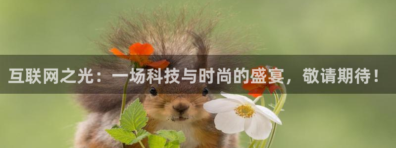 24直播网下载