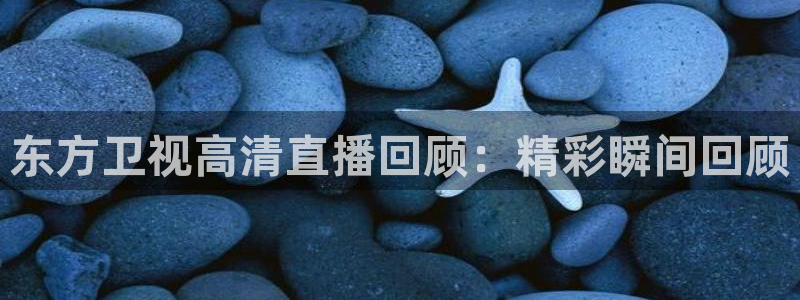 24直播网址：东方卫视高清直播回顾：精彩瞬间回顾