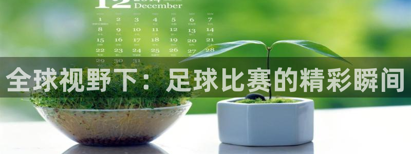 24直播足球直播：全球视野下：足球比赛的精彩瞬间