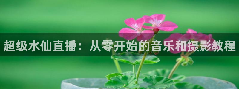 nba直播在线直播24直播
