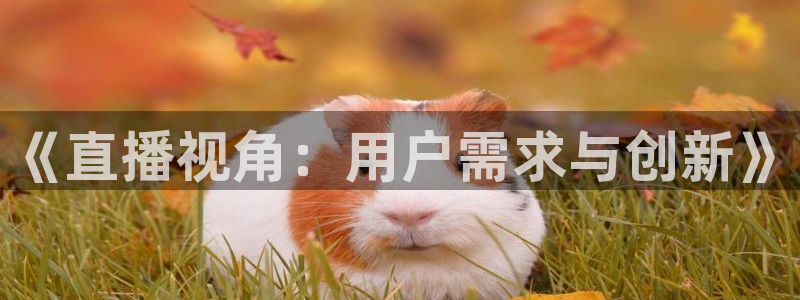 24直播网体育新年放送7zg.立即打开.org