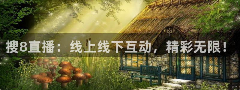 24直播间：搜8直播：线上线下互动，精彩无限！